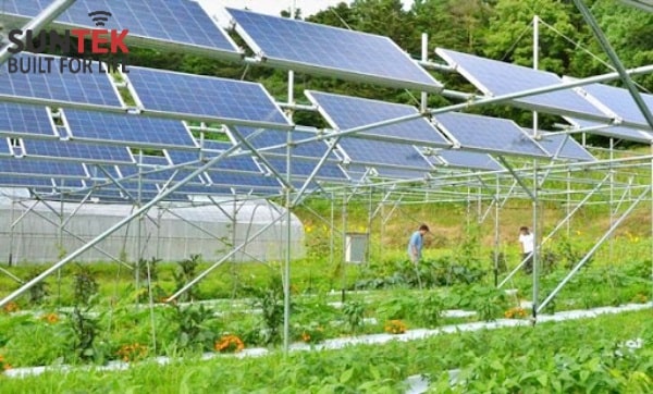 bơm nước năng lượng mặt trời độc lập